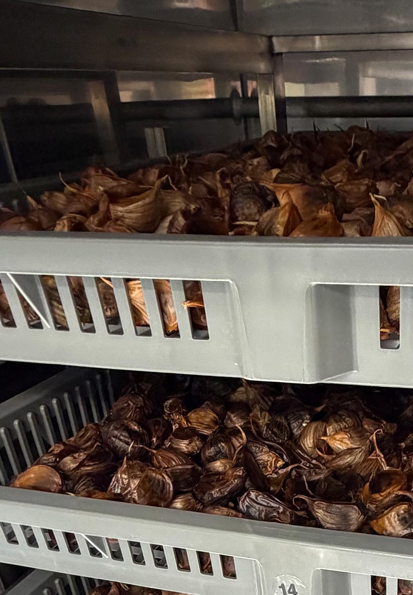 強みやメリットをできるだけ簡潔に伝える